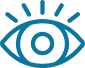 Vision Icon